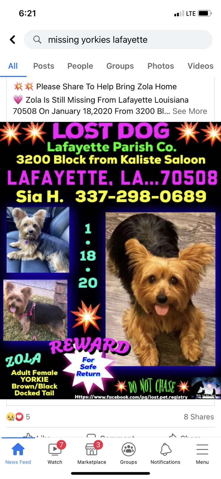 Lost dog in Lafayette, LA, 70503