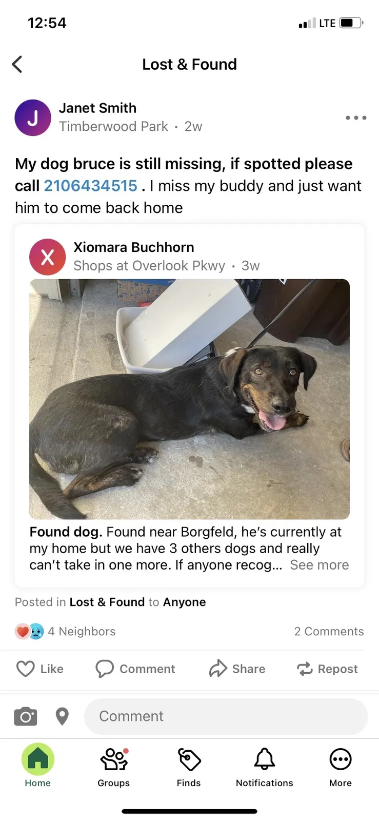 Lost dog in San Antonio, TX, 78260