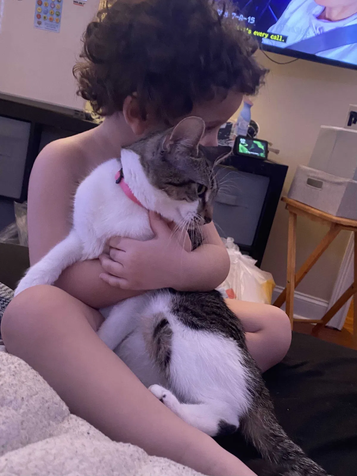 Lost cat in Spencer, MA, 1562