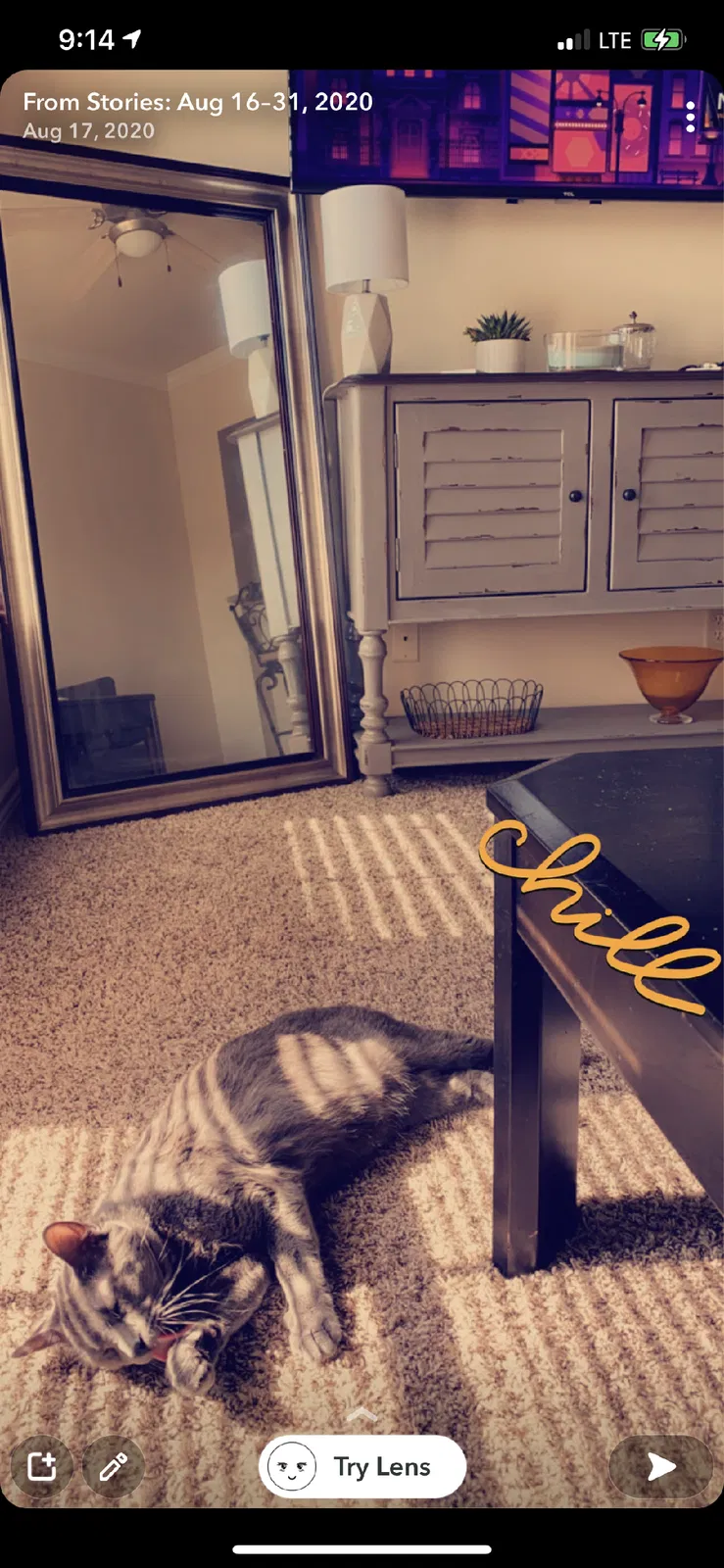 Lost cat in Baton Rouge, LA, 70809