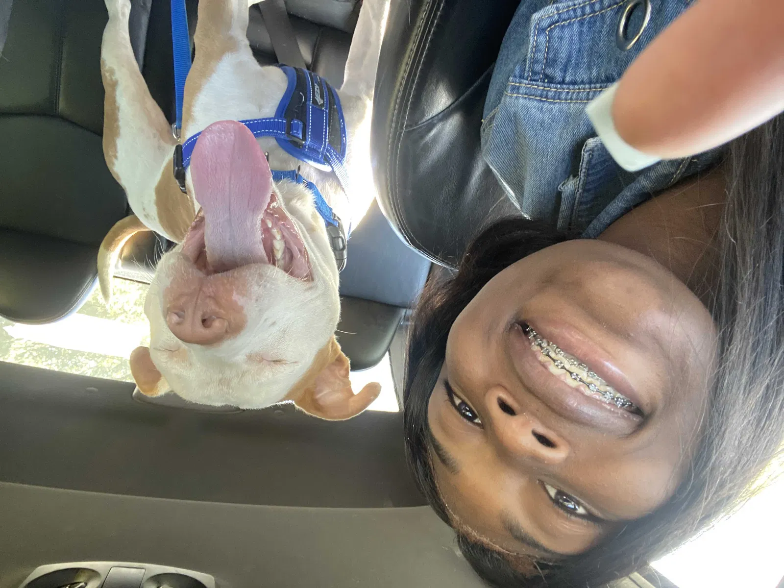 Lost dog in Detroit, MI, 48219