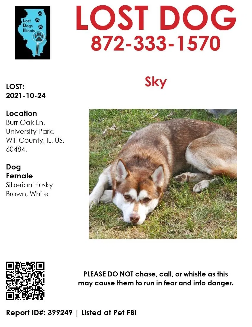 Lost dog in Monee, IL, 60449