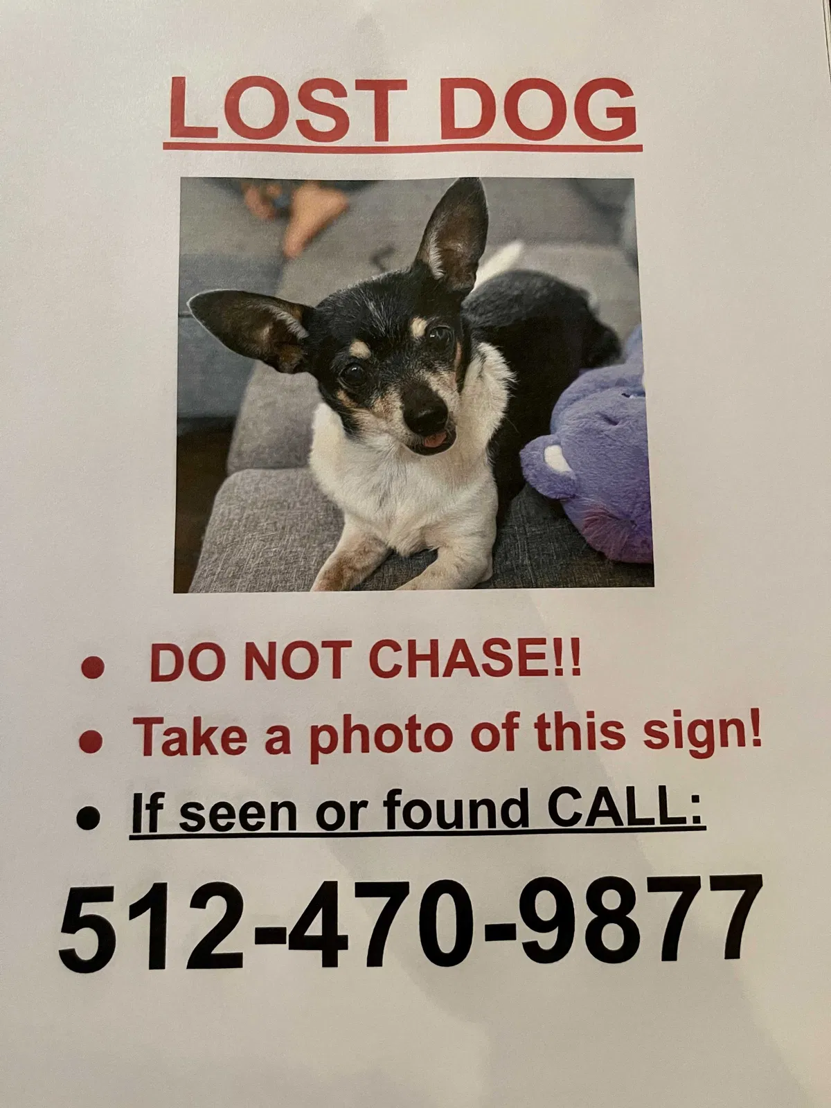 Lost dog in Pflugerville, TX, 78660