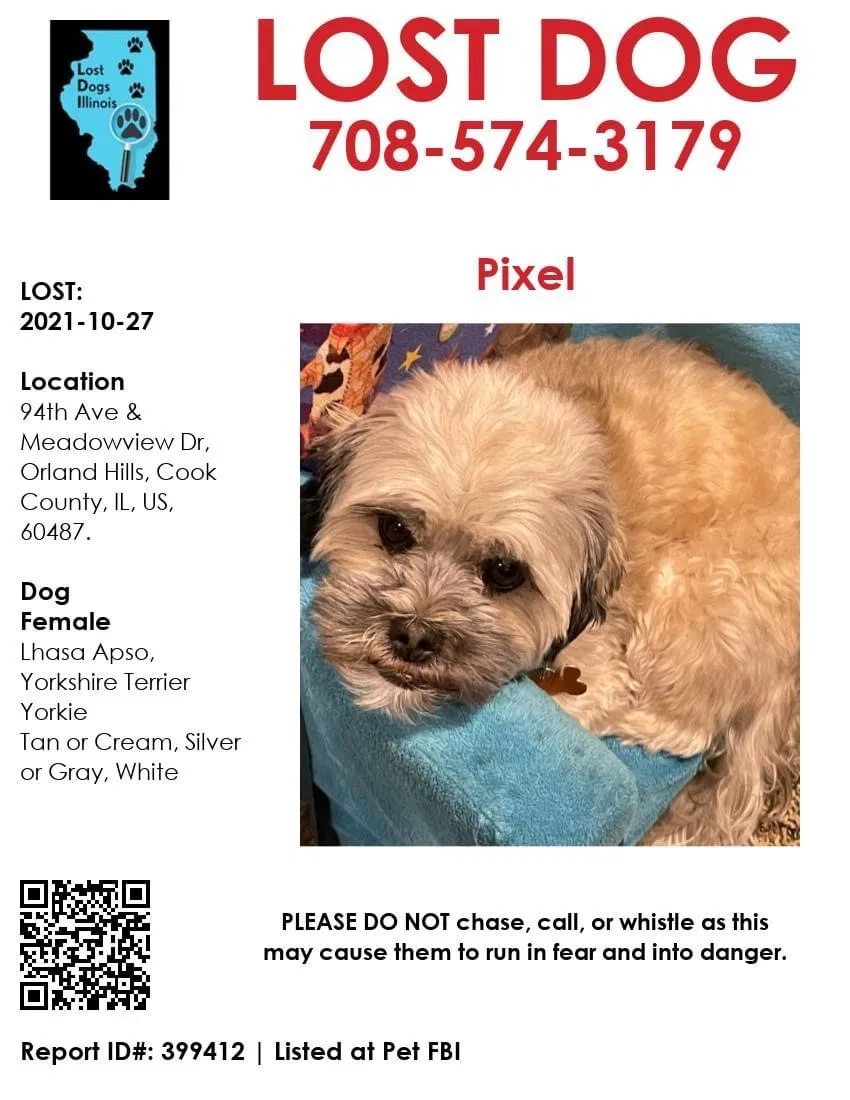 Lost dog in Orland Park, IL, 60467