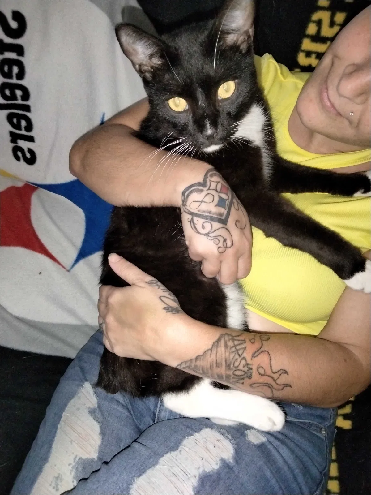 Lost cat in Jacksonville, FL, 32205