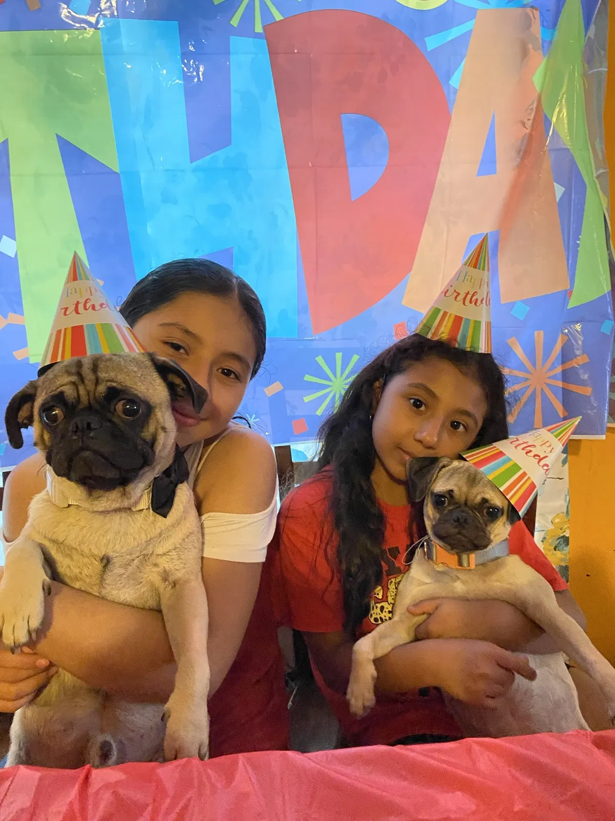 Lost dog in San Antonio, TX, 78238