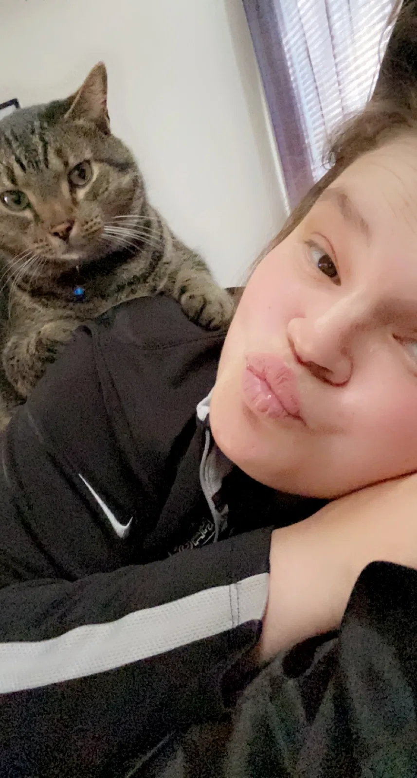 Lost cat in Edmond, OK, 73013