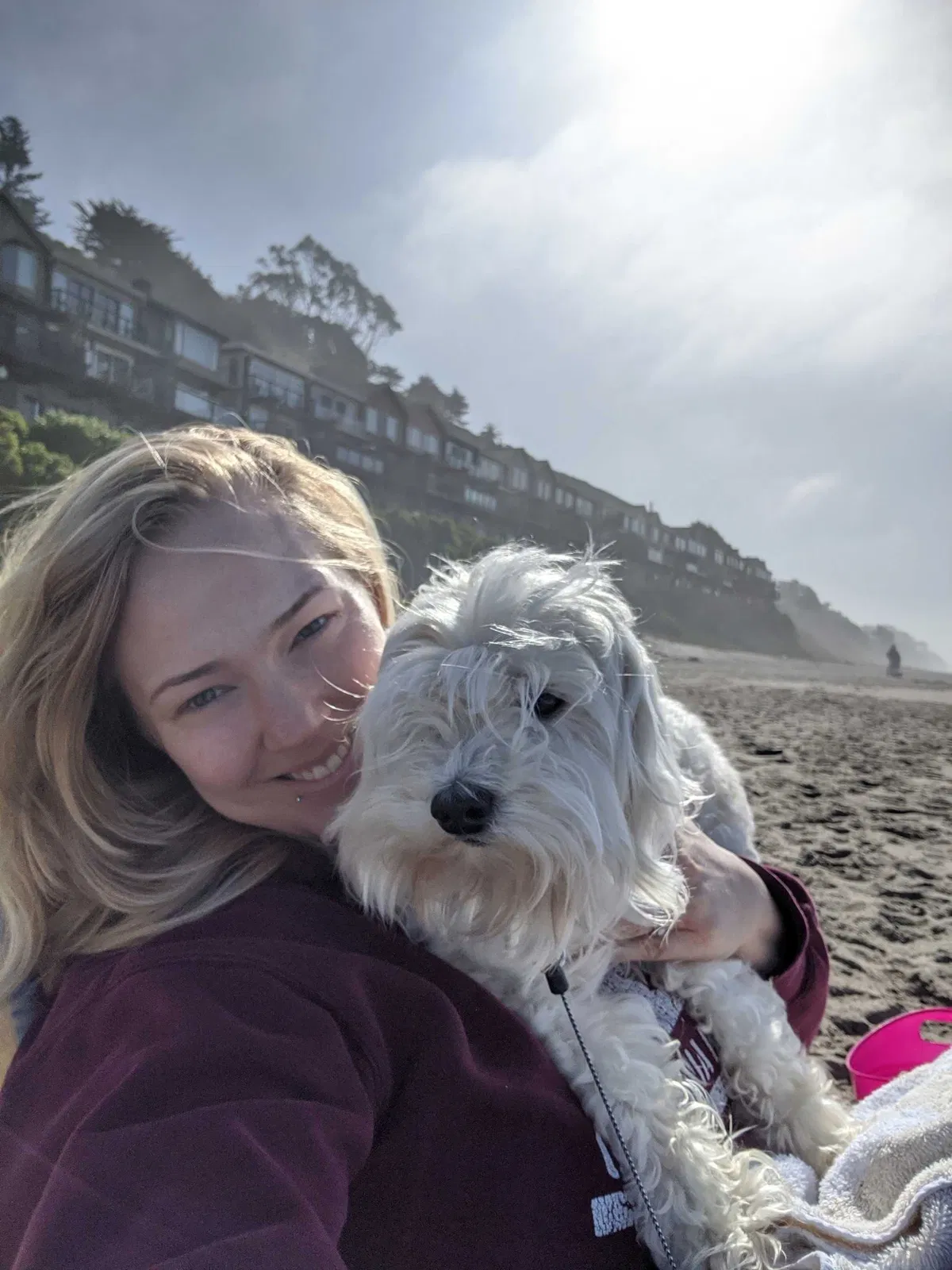 Lost dog in Sacramento, CA, 95815