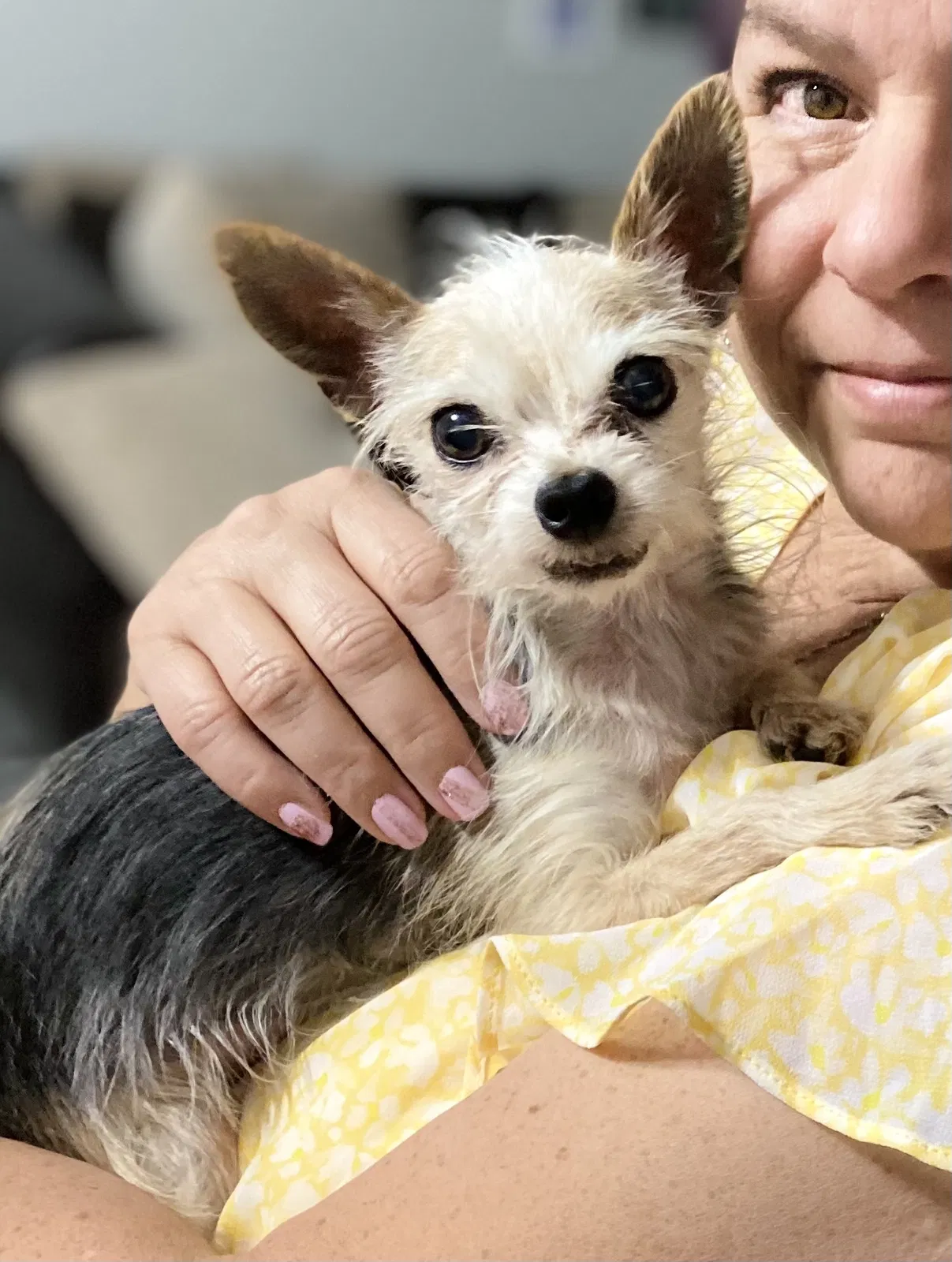 Lost dog in Fort Worth, TX, 76134