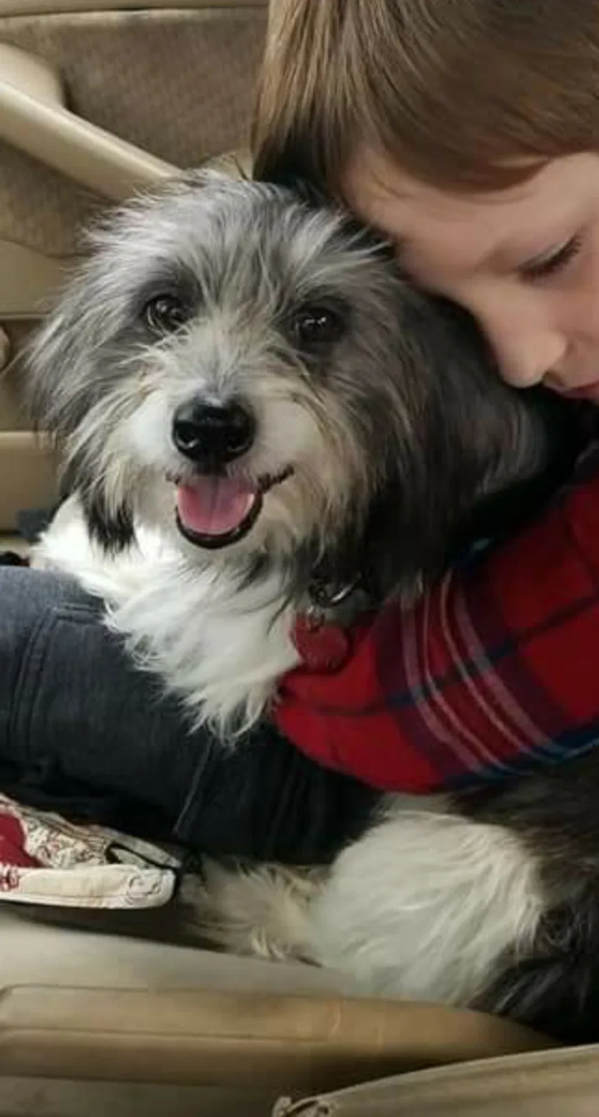 Lost dog in Bryant, AR, 72022