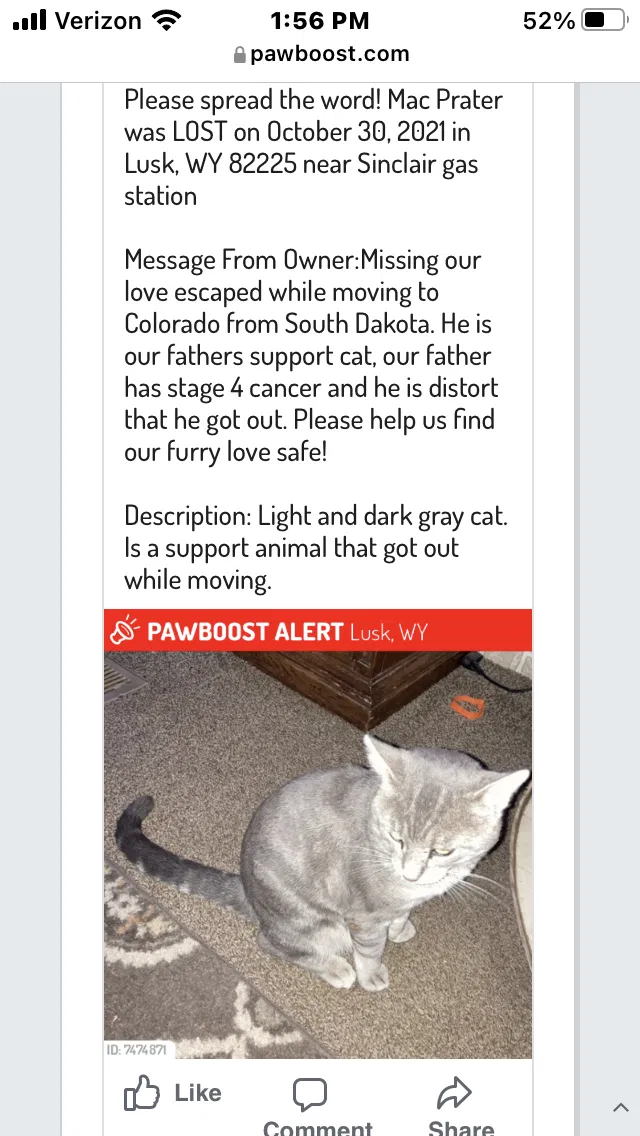 Lost cat in Lusk, WY, 82225