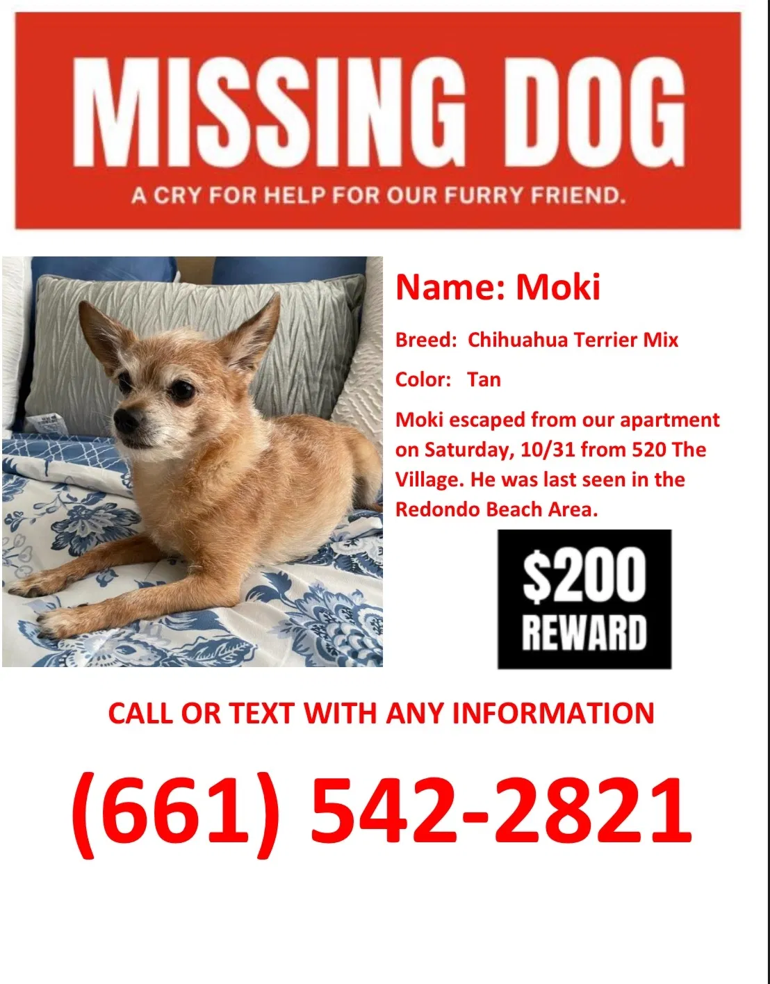 Lost dog in Redondo Beach, CA, 90277