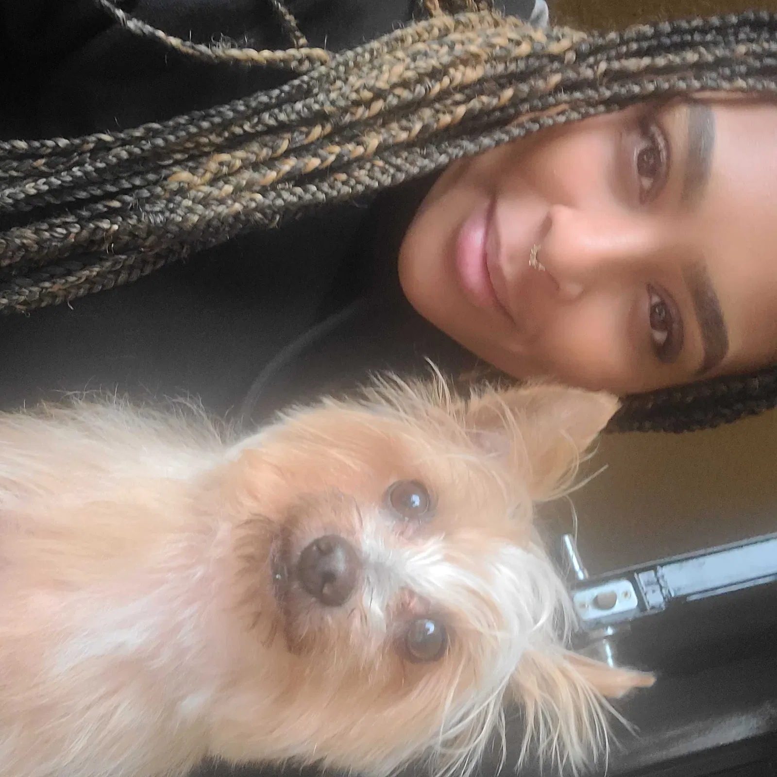 Lost dog in San Diego, CA, 92139