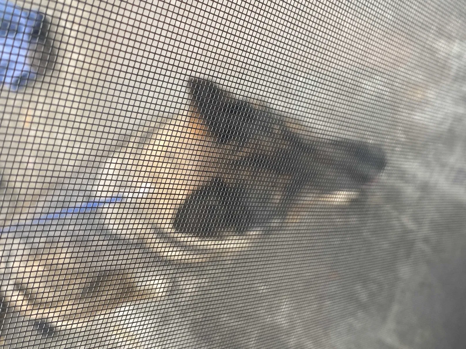 Found dog in Fort Collins, CO, 80525