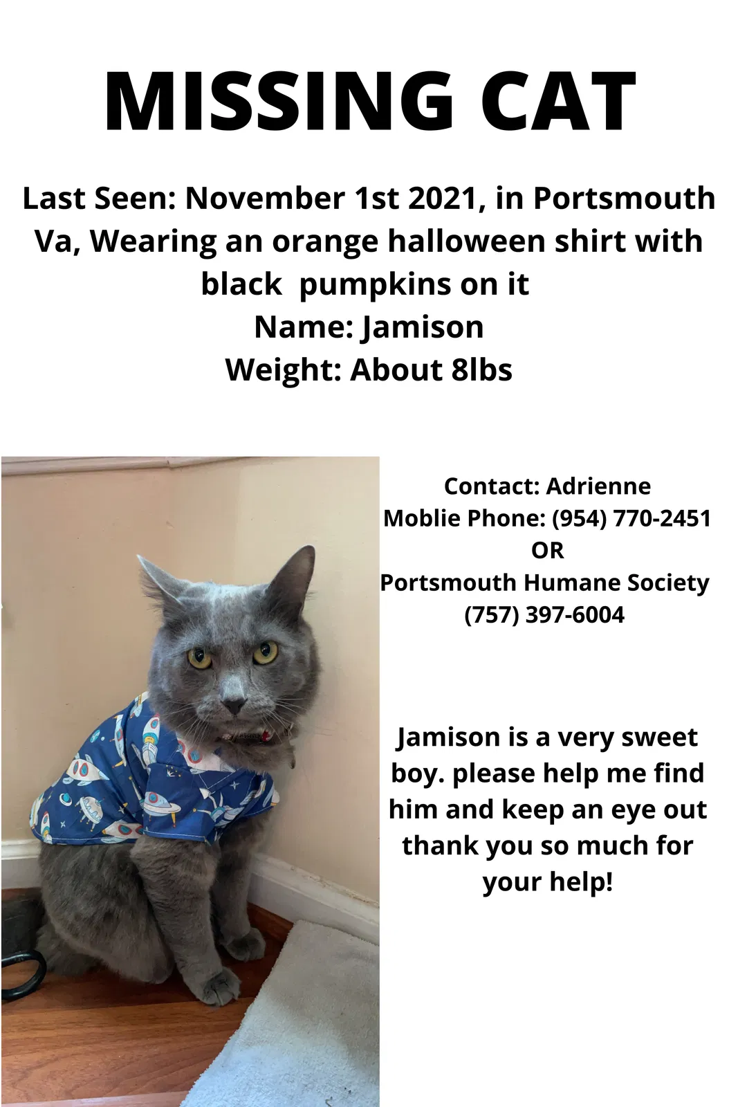 Lost cat in Portsmouth, VA, 23704