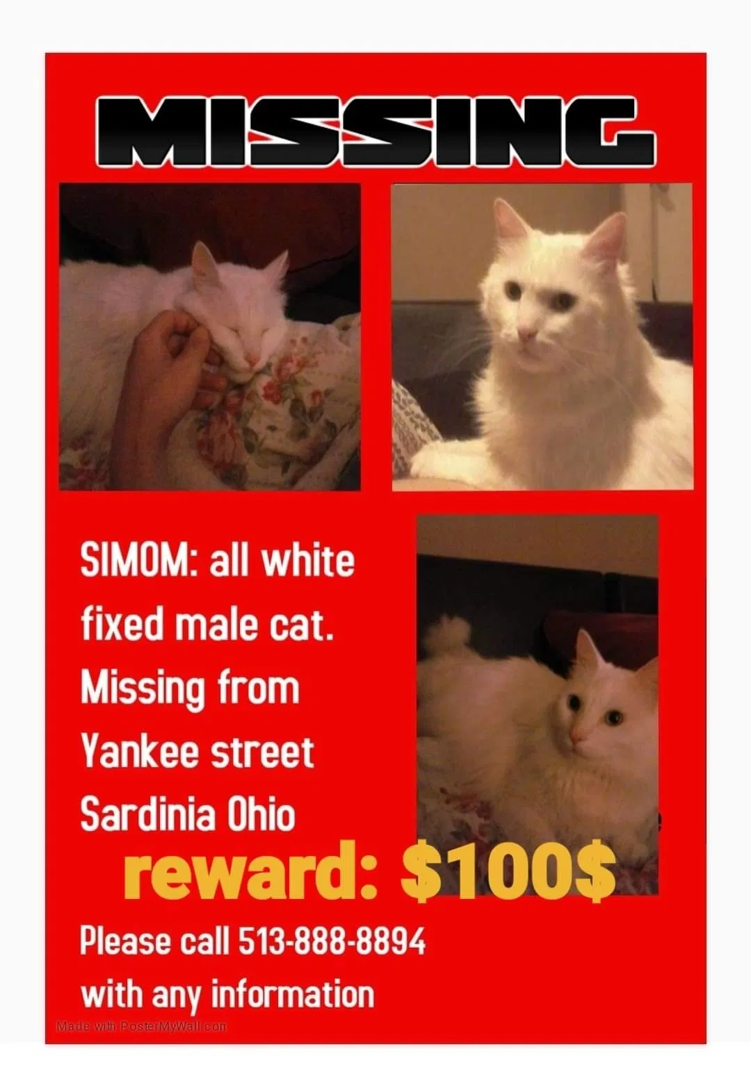 Lost cat in Sardinia, OH, 45171
