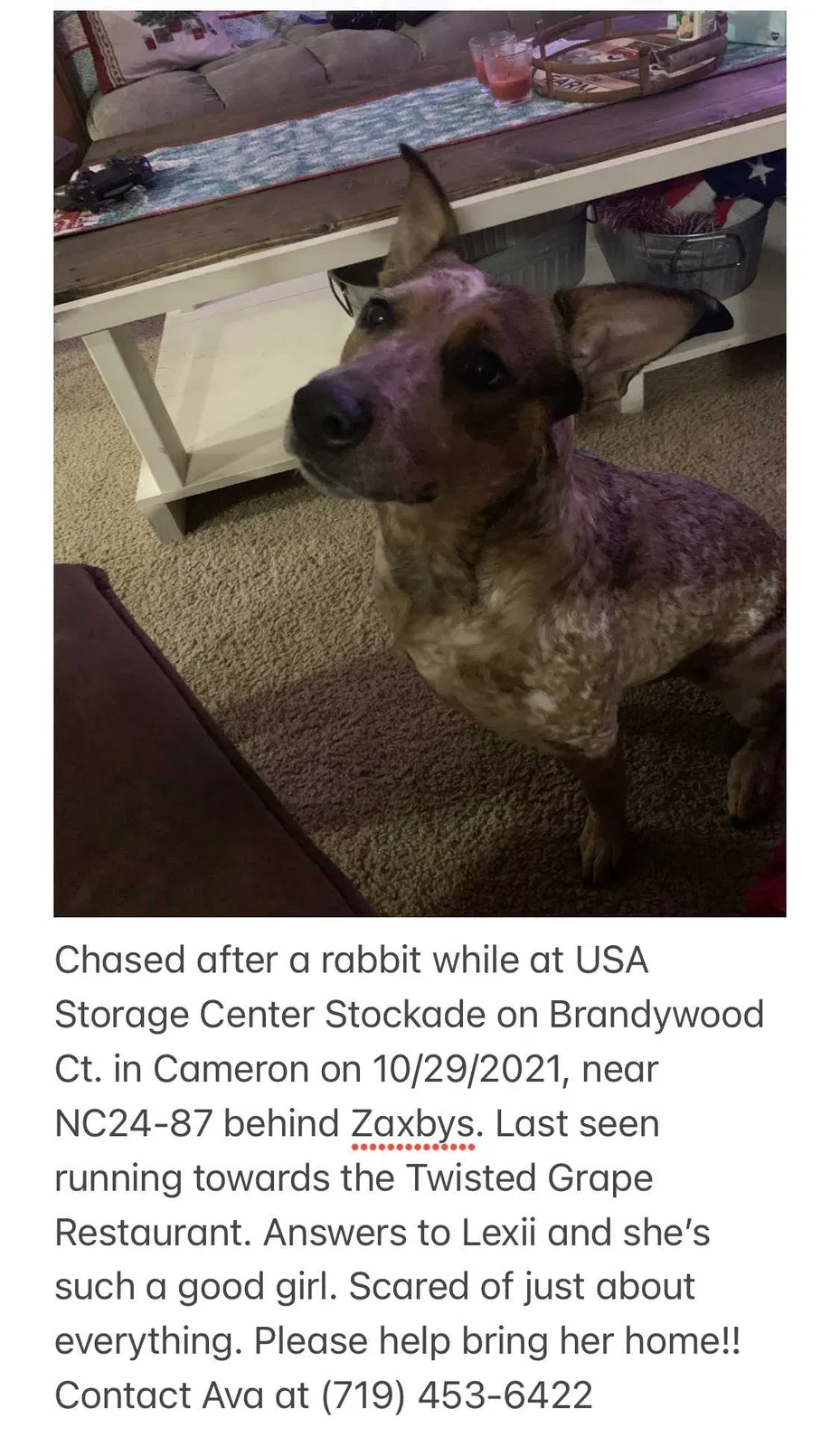 Lost dog in Cameron, NC, 28326