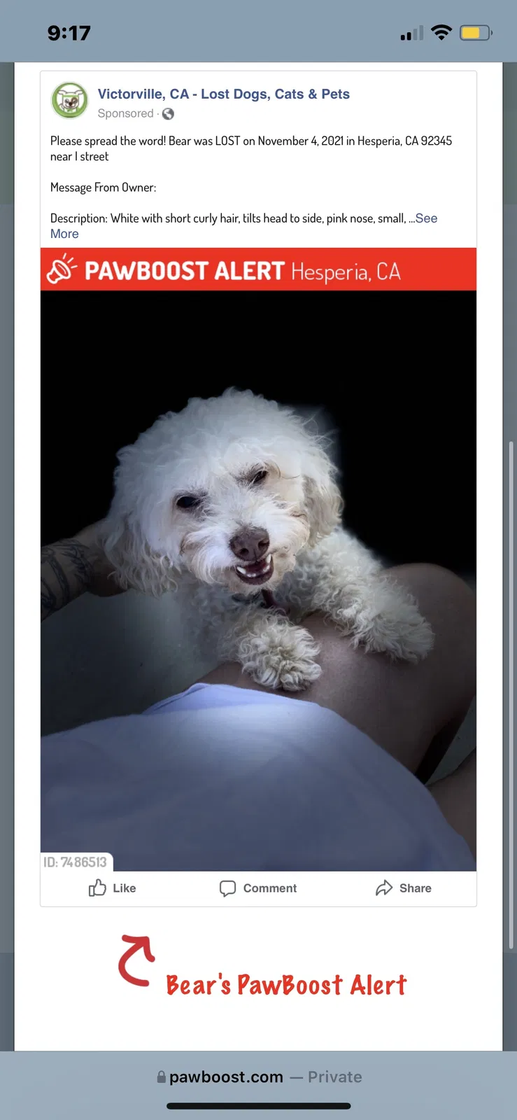 Lost dog in Hesperia, CA, 92345
