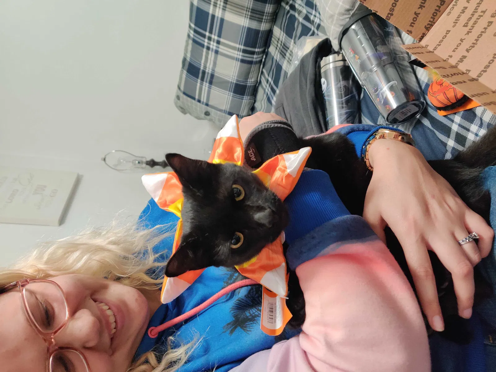 Lost cat in El Cajon, CA, 92021