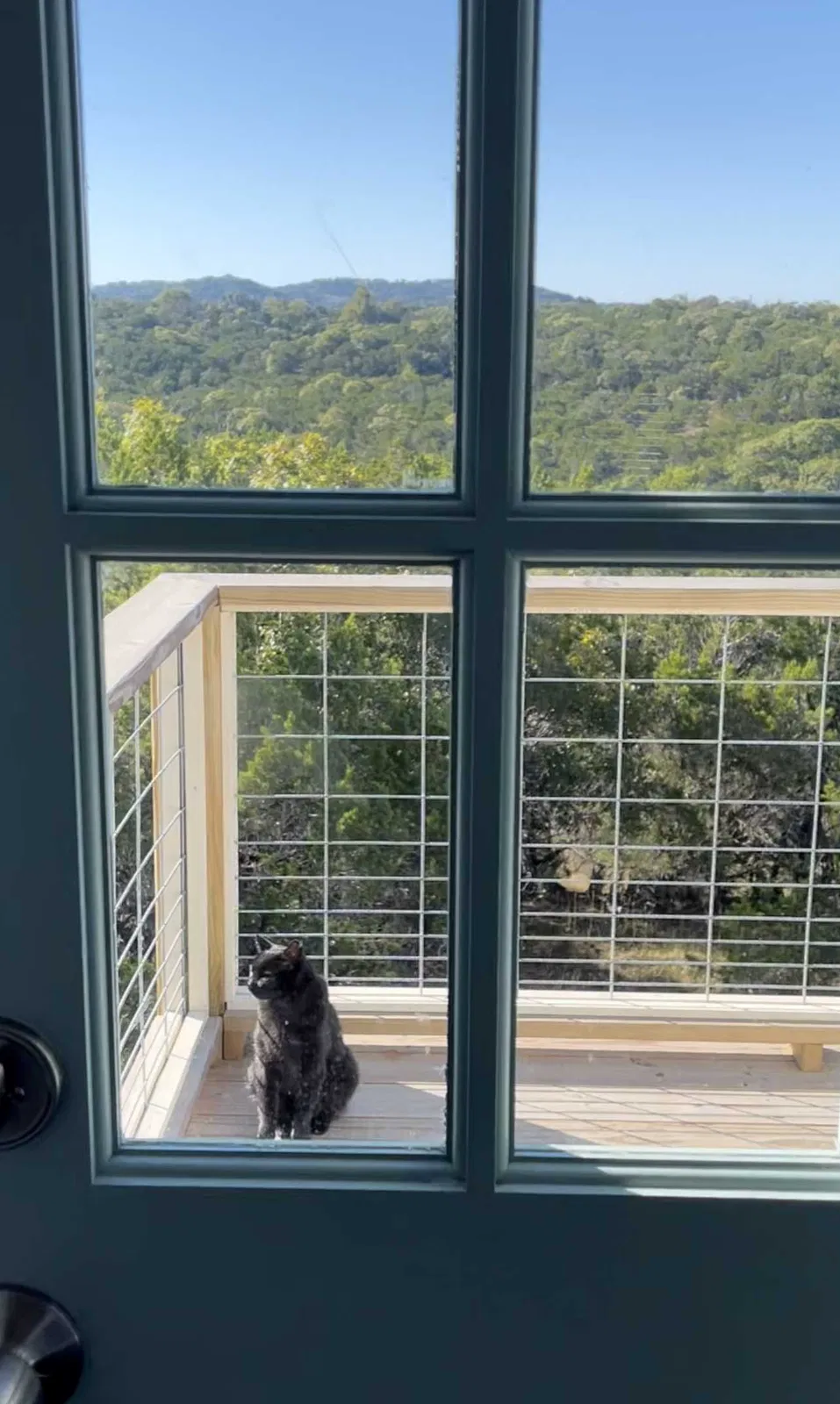 Found cat in Austin, TX, 78738