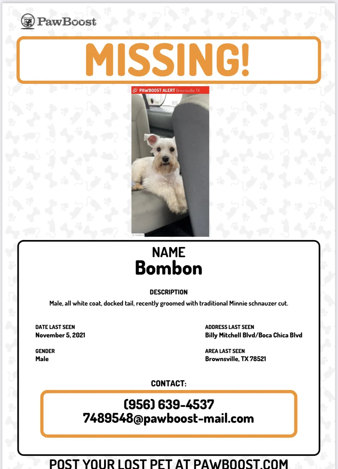 Lost dog in Brownsville, TX, 78521