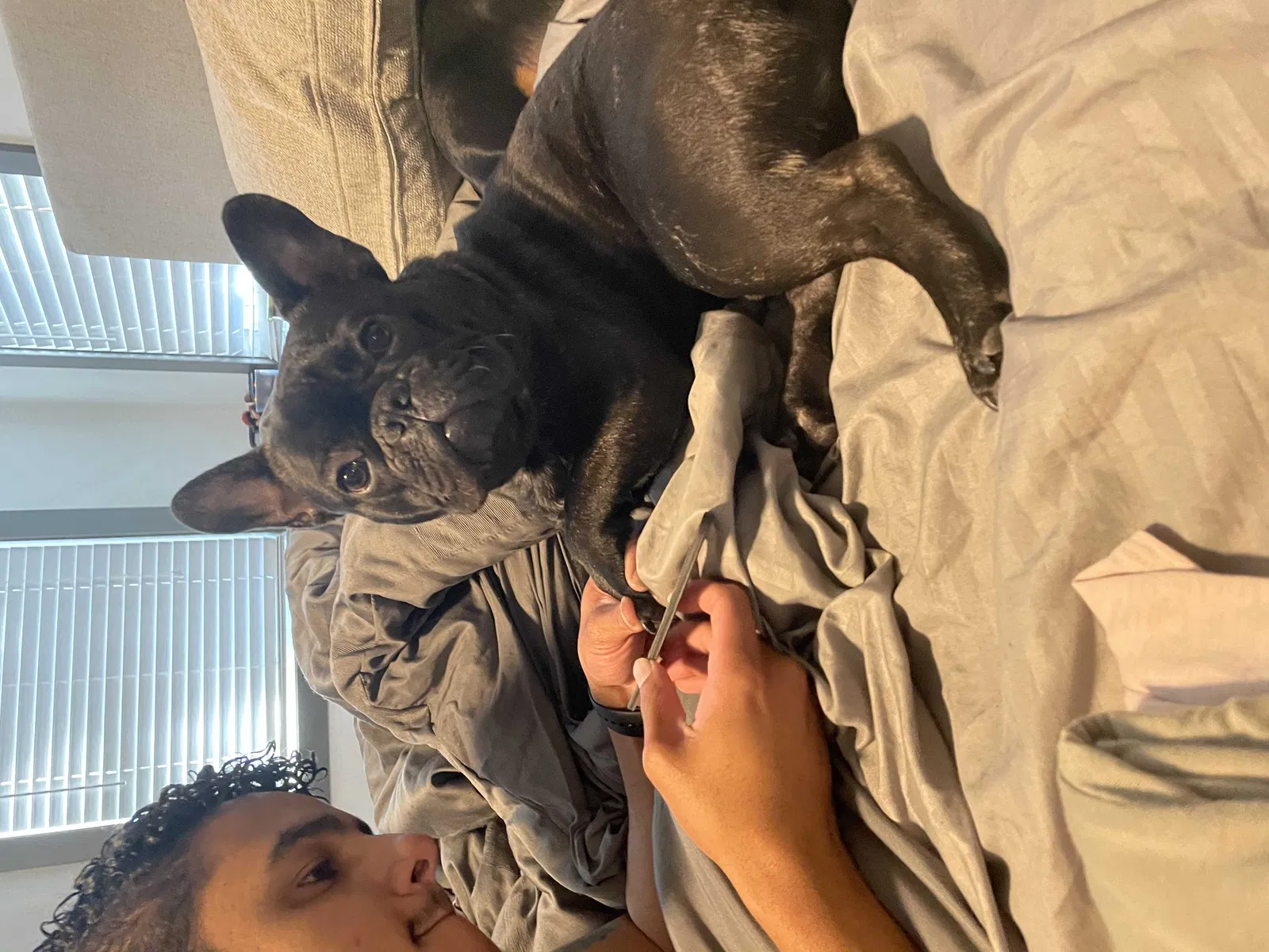 Lost dog in Fort Worth, TX, 76110