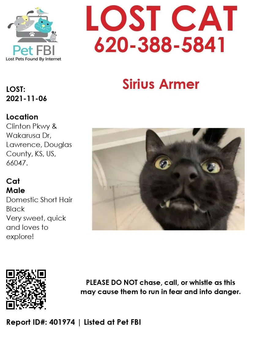 Lost cat in Lawrence, KS, 66047