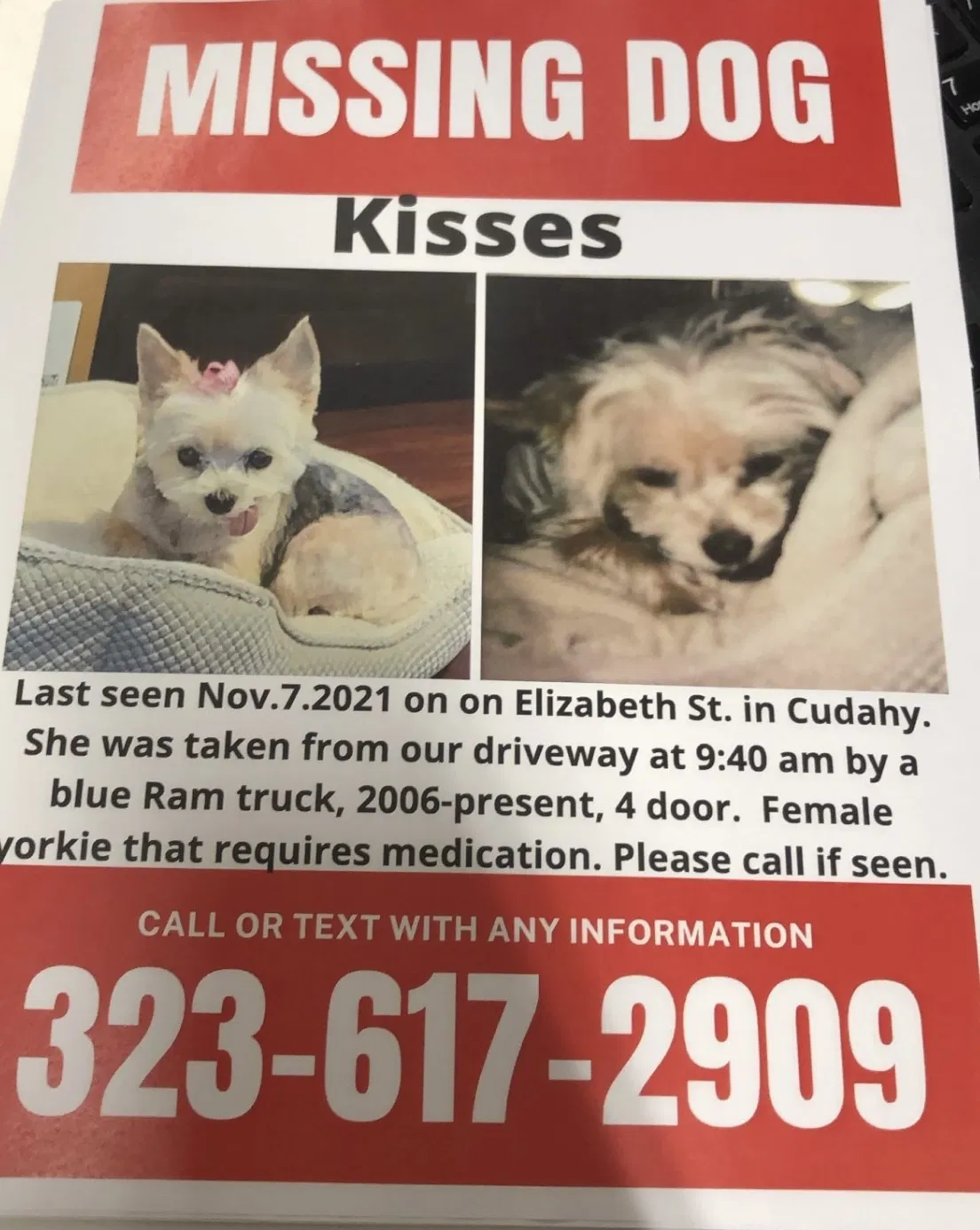 Lost dog in Bell Gardens, CA, 90201