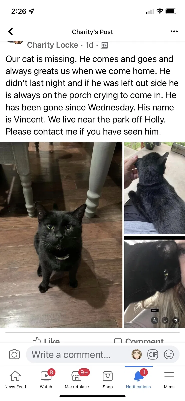 Lost cat in Yukon, OK, 73099