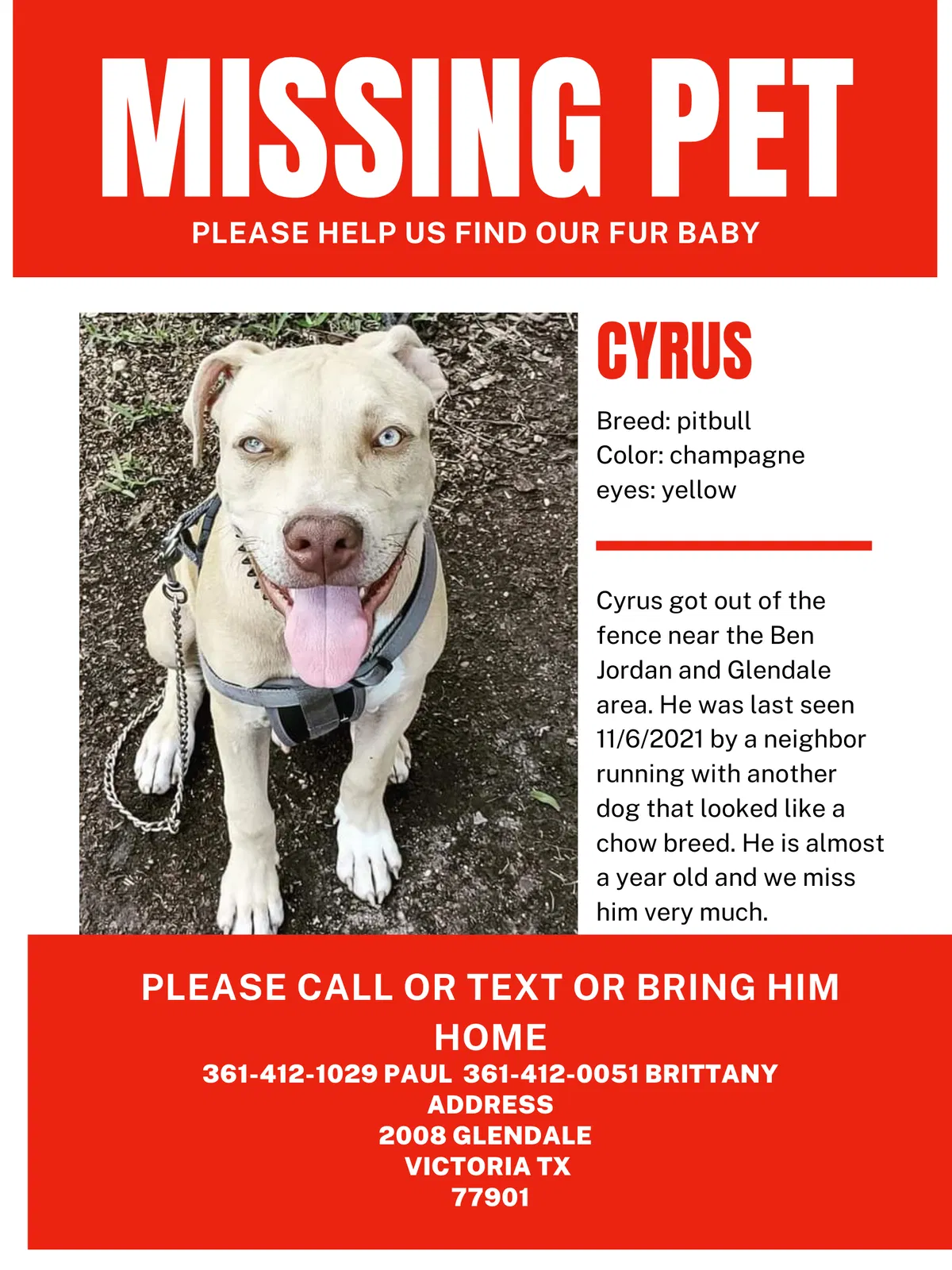 Lost dog in Victoria, TX, 77901