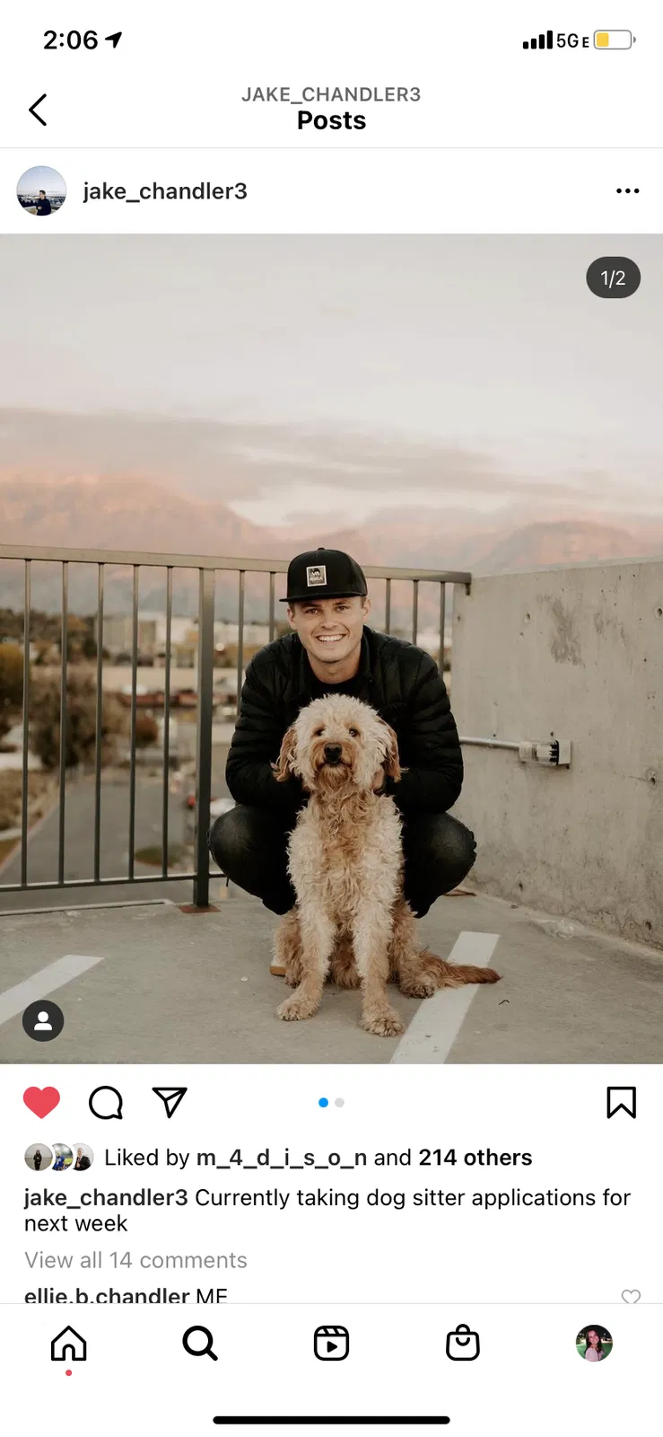 Lost dog in Salt Lake City, UT, 84115