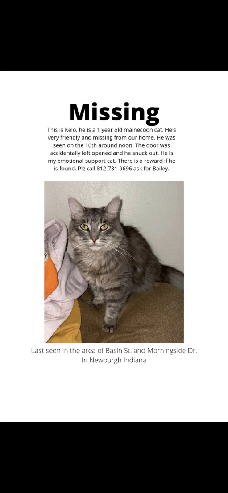 Lost cat in Newburgh, IN, 47630