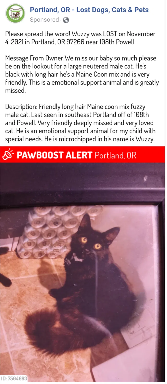 Lost cat in Portland, OR, 97266