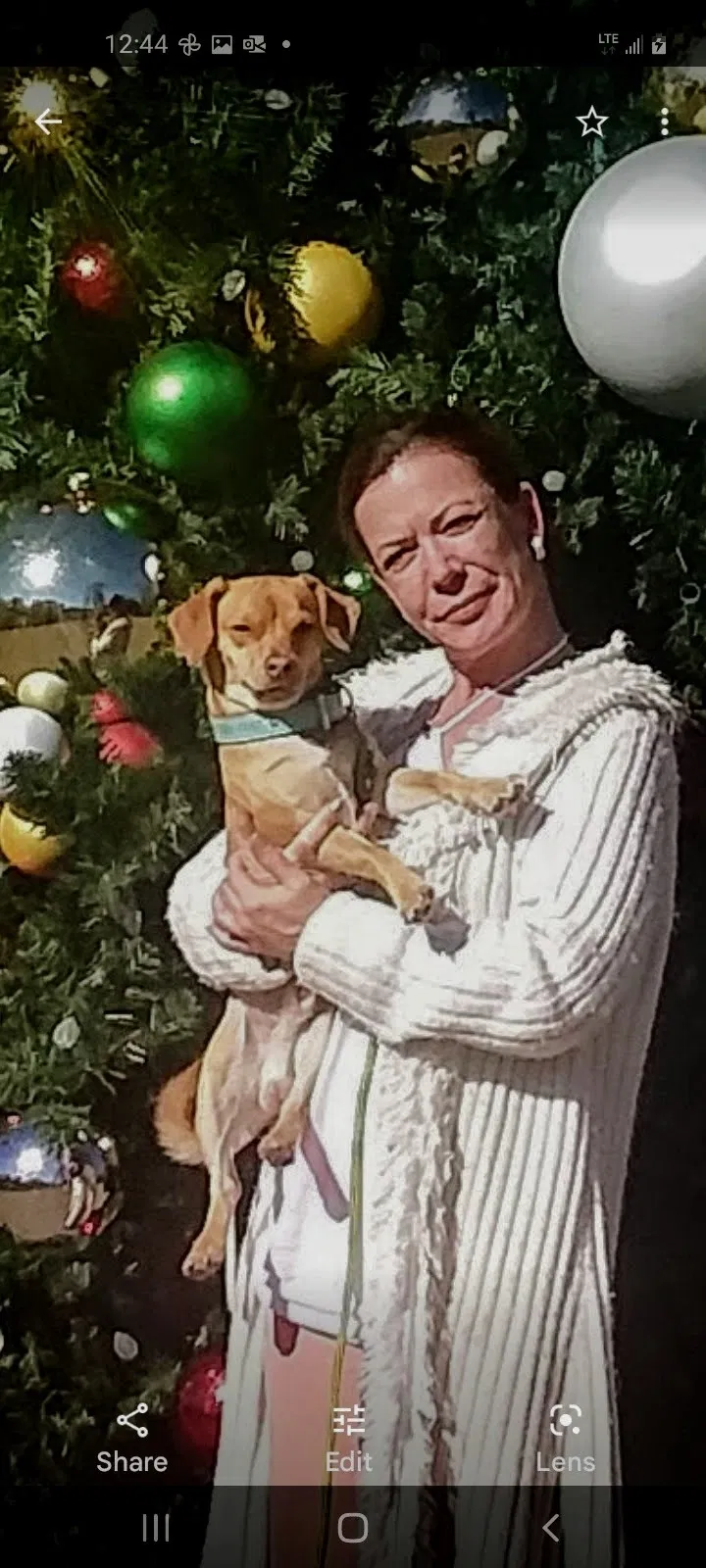 Lost dog in Cedar Creek, TX, 78612