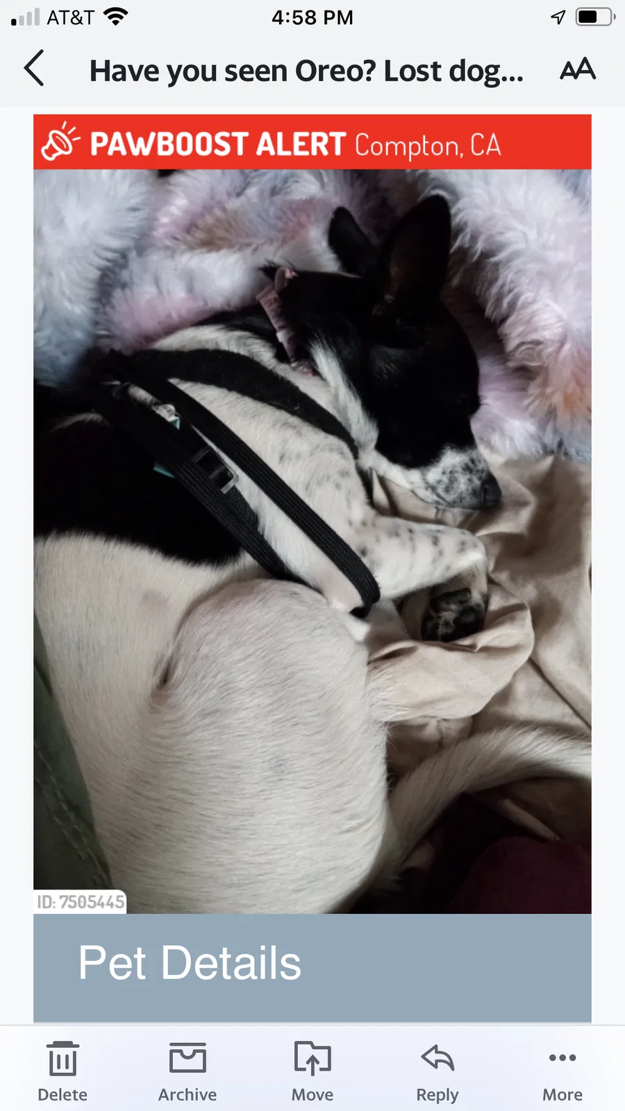 Lost dog in Unknown, CA, 0