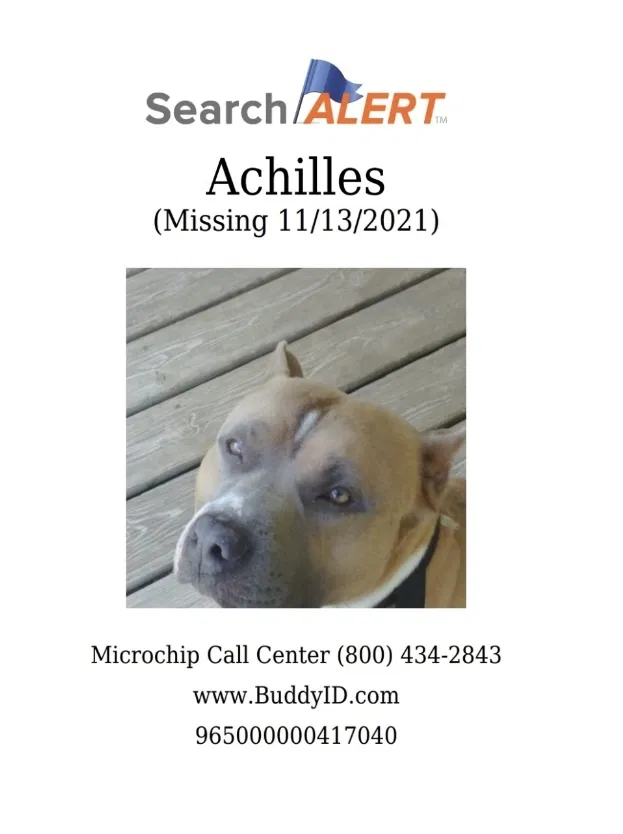 Lost dog in Lenoir City, TN, 37771