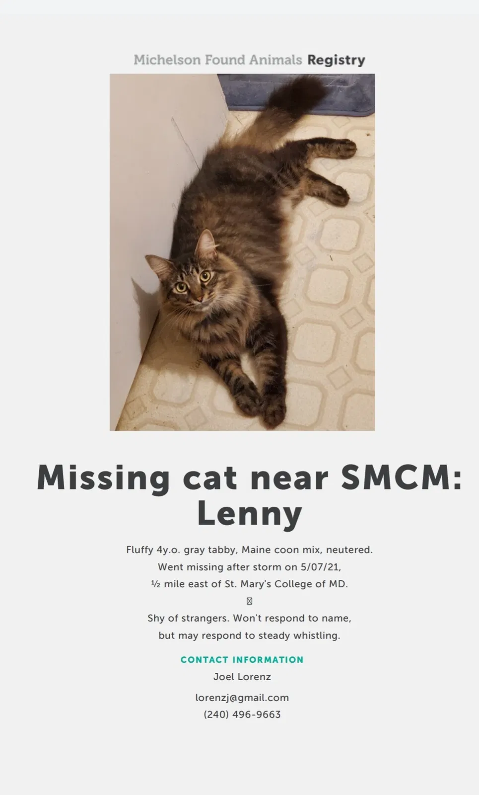 Lost cat in Lexington Park, MD, 20653