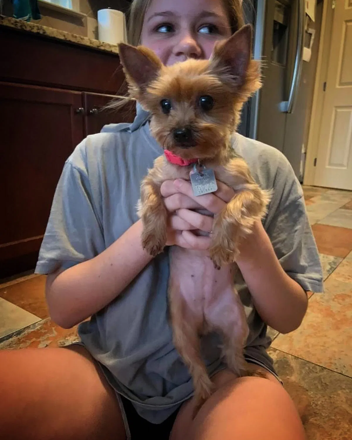 Lost dog in Trussville, AL, 35173