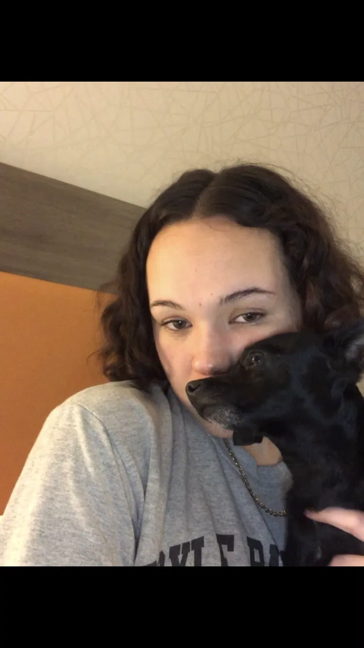 Lost dog in Orlando, FL, 32812