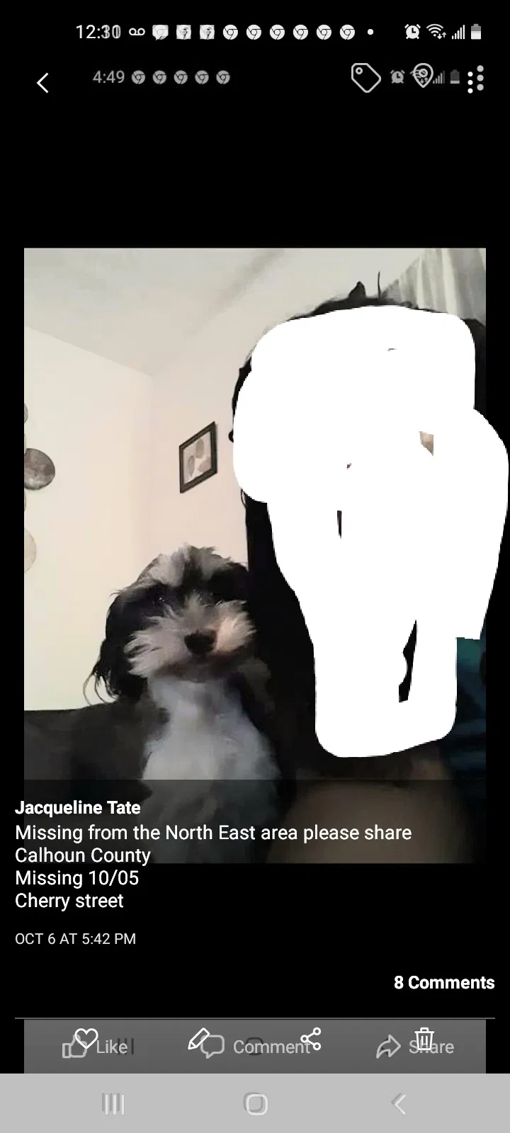 Lost dog in Battle Creek, MI, 49017