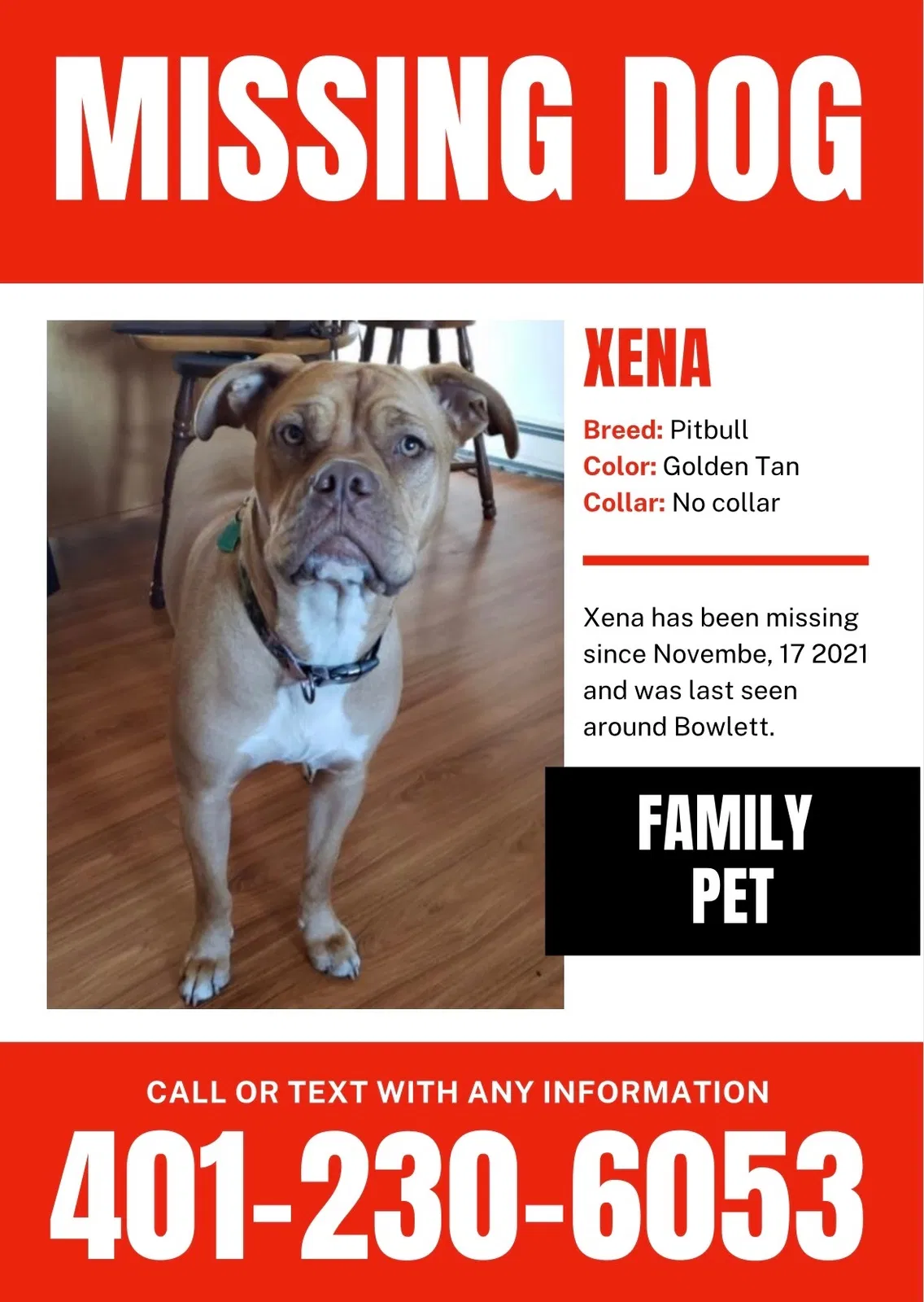 Lost dog in Providence, RI, 2909