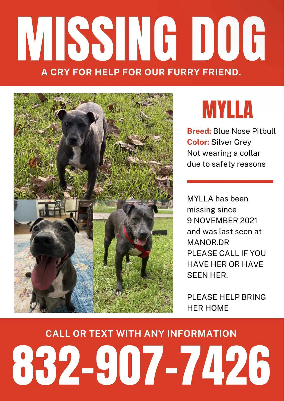 Lost dog in Pearland, TX, 77581