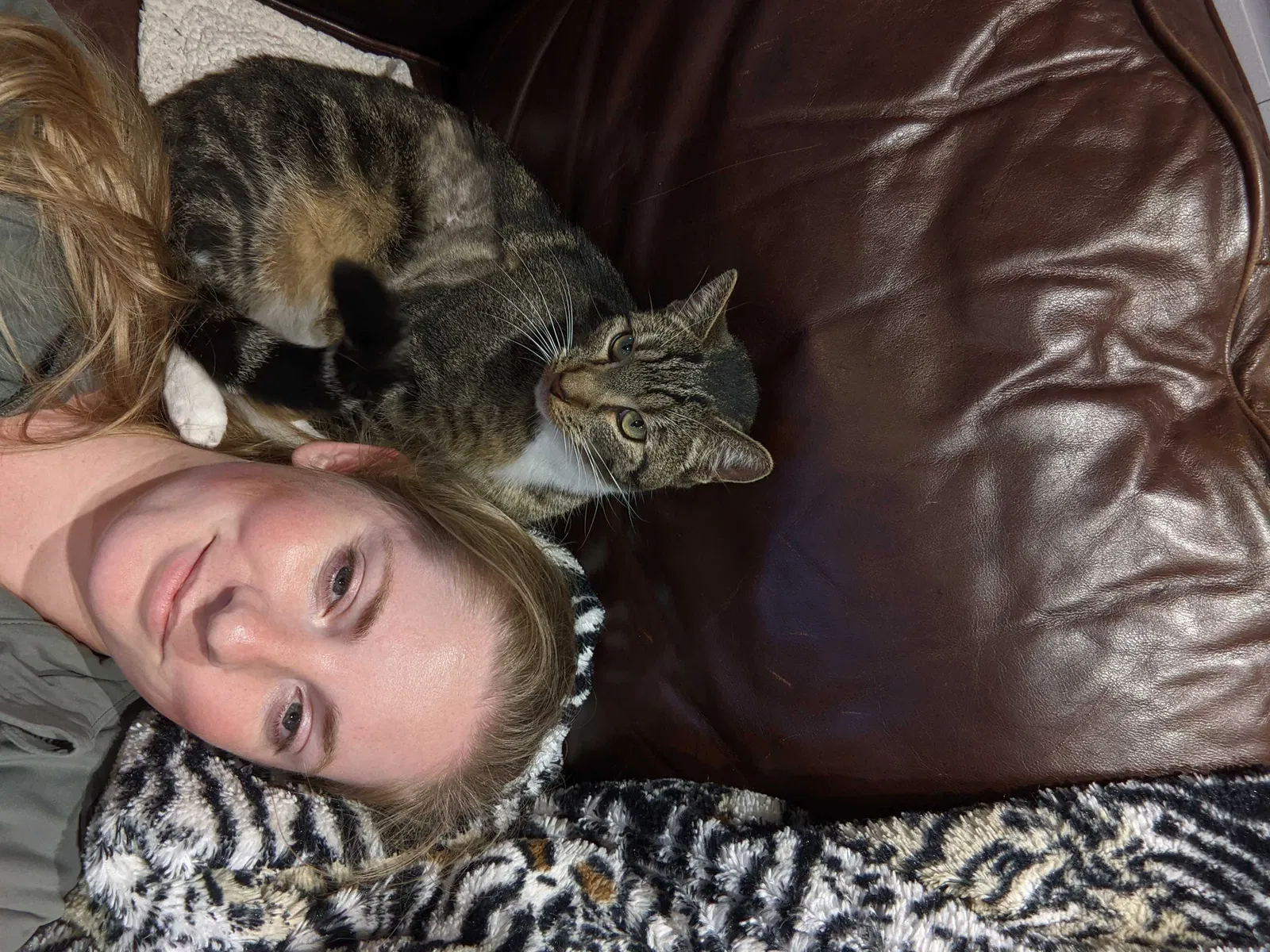 Lost cat in Caldwell, ID, 83605