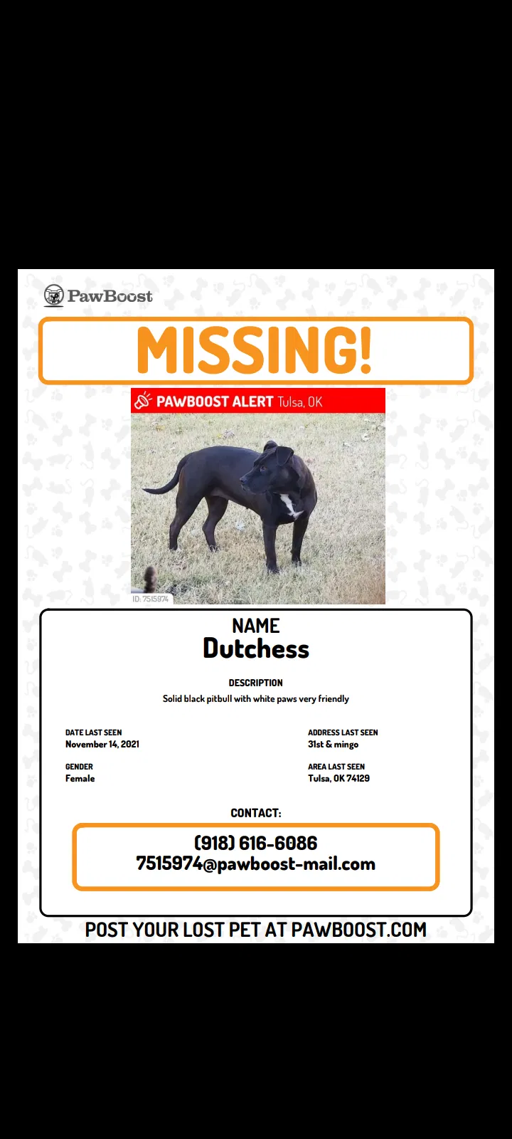 Lost dog in Tulsa, OK, 74129