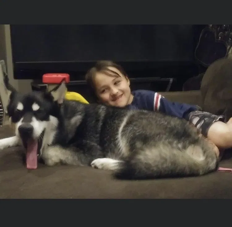 Lost dog in Rockford, IL, 61104