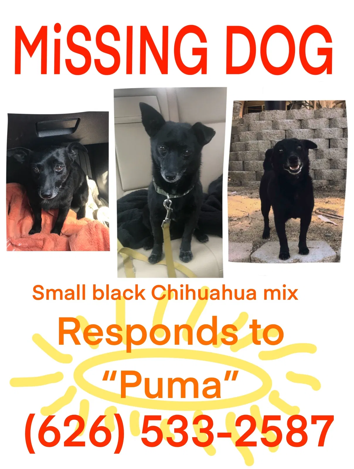 Lost dog in Riverside, CA, 92508