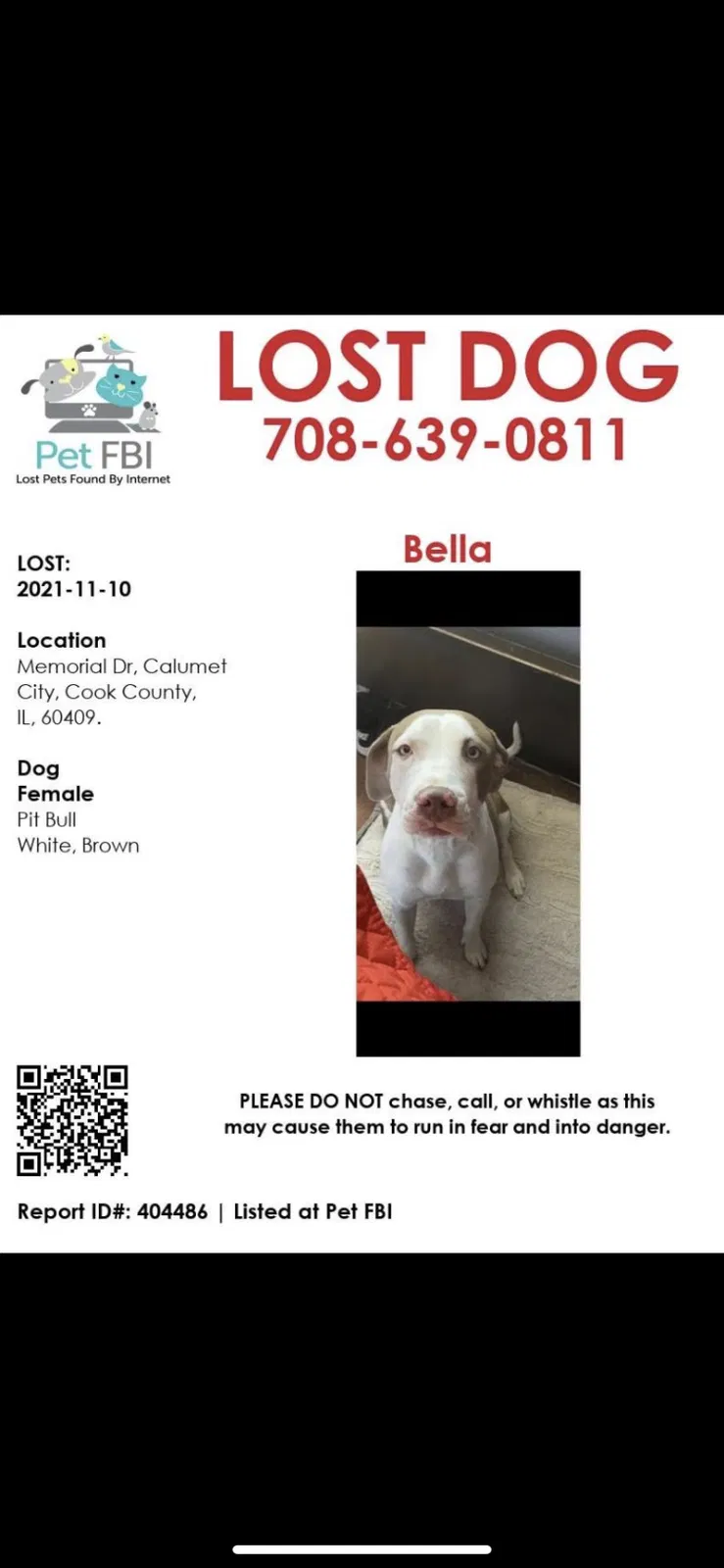 Lost dog in Calumet City, IL, 60409
