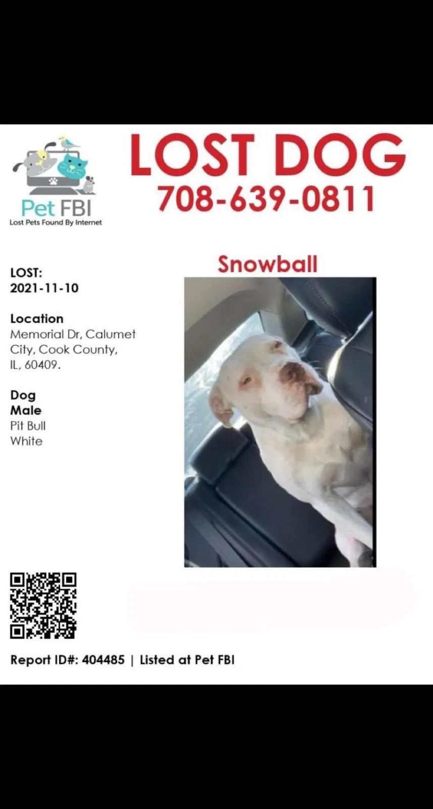 Lost dog in Calumet City, IL, 60409