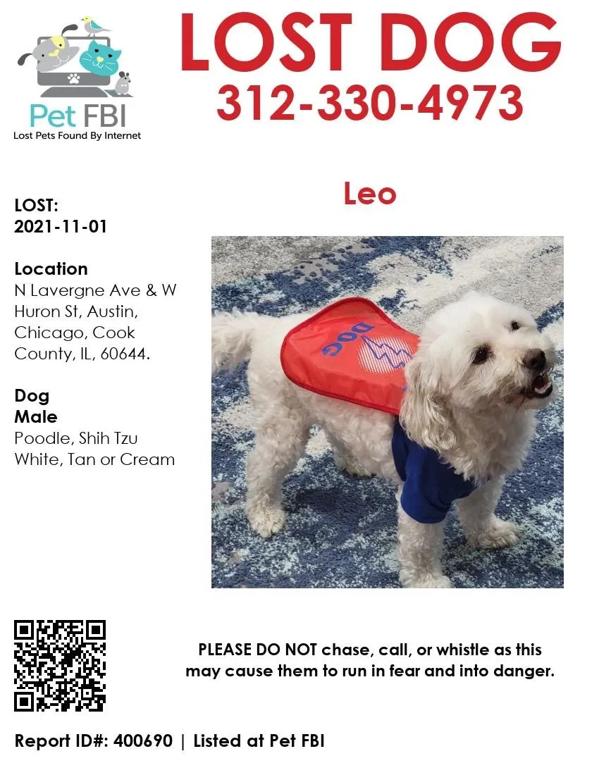 Lost dog in Chicago, IL, 60644
