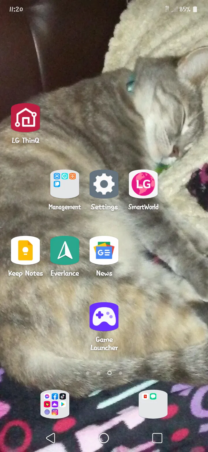 Lost cat in Aubrey, TX, 76227